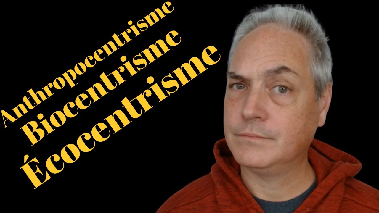 Anthropocentrisme vs Biocentrisme vs Écocentrisme - Sciences Environnementales