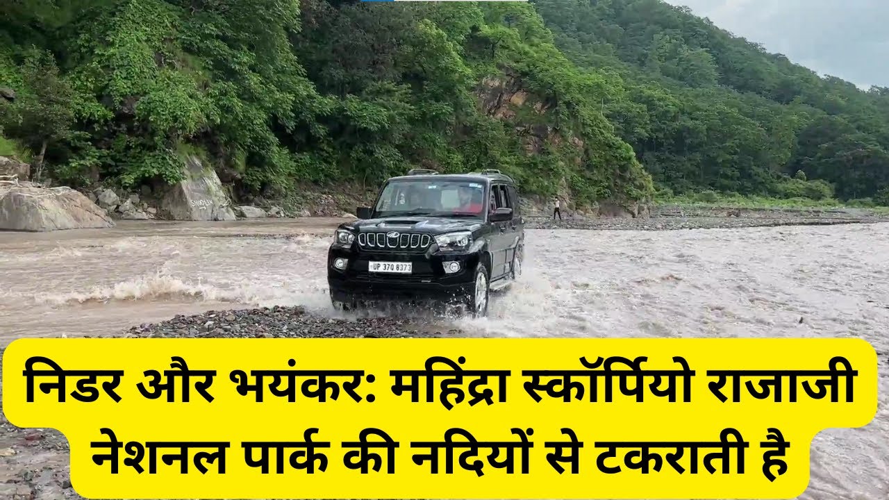निडर और भयंकर: महिंद्रा स्कॉर्पियो राजाजी नेशनल पार्क की नदियों से टकराती है #rishikesh #mahindra
