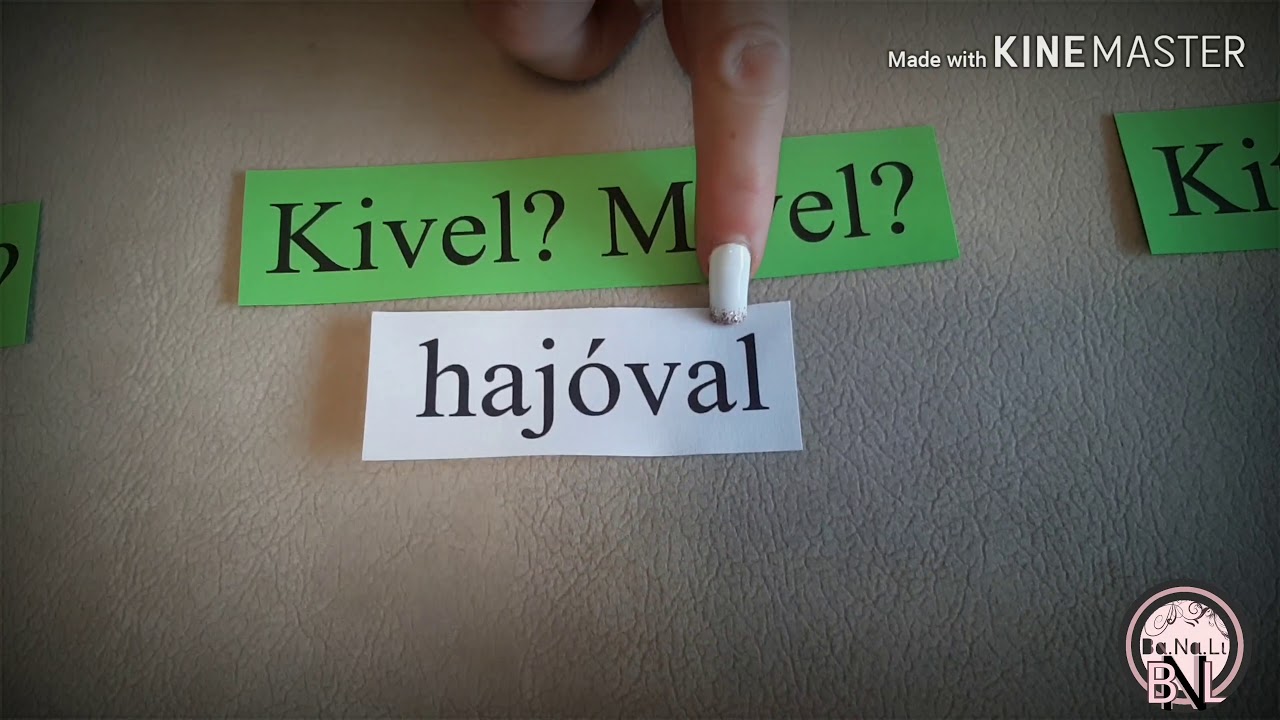 Sakkos-nyelvtan terápiás kutyával - A toldalékos szavak 2.osztály