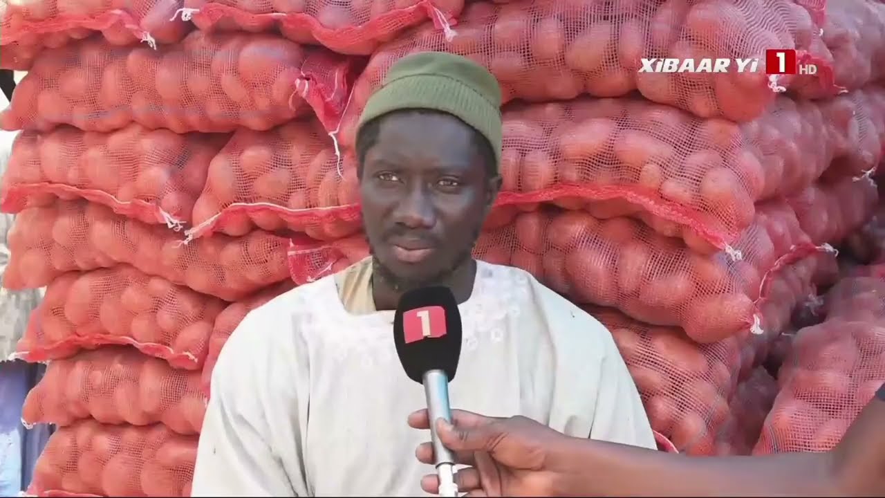 TABASKI | Le marché central de Thiès bien approvisionné en moutons, condiments et vêtements
