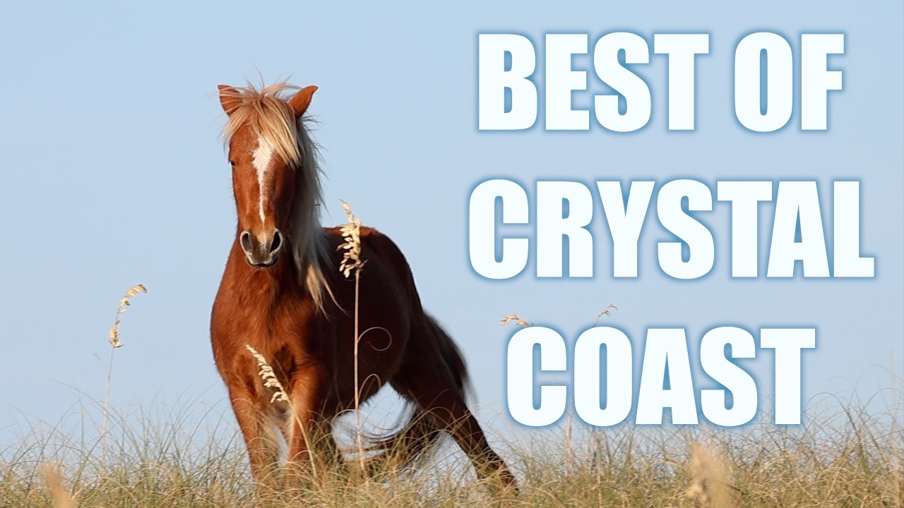 It was all worth it | Best of Crystal Coast | S2 Throw 134