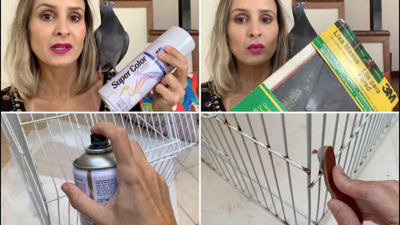PINTANDO GAIOLA DE CALOPSITA - PASSO A PASSO!