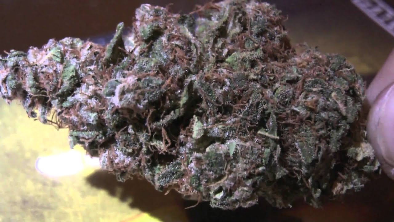 San Diego Weed Review #25: DJ Short's Blueberry