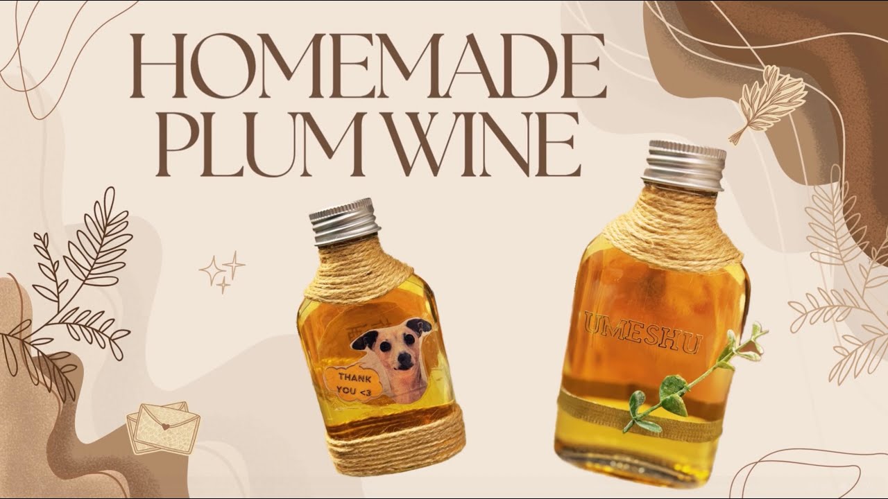 Homemade Umeshu in 3 Minutes | Easy Japanese Plum Wine Recipe
