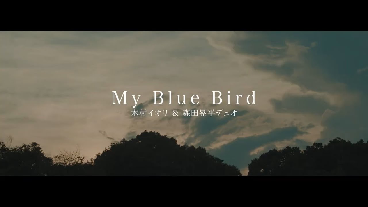 木村イオリ & 森田晃平デュオ - My Blue Bird (Official Video)