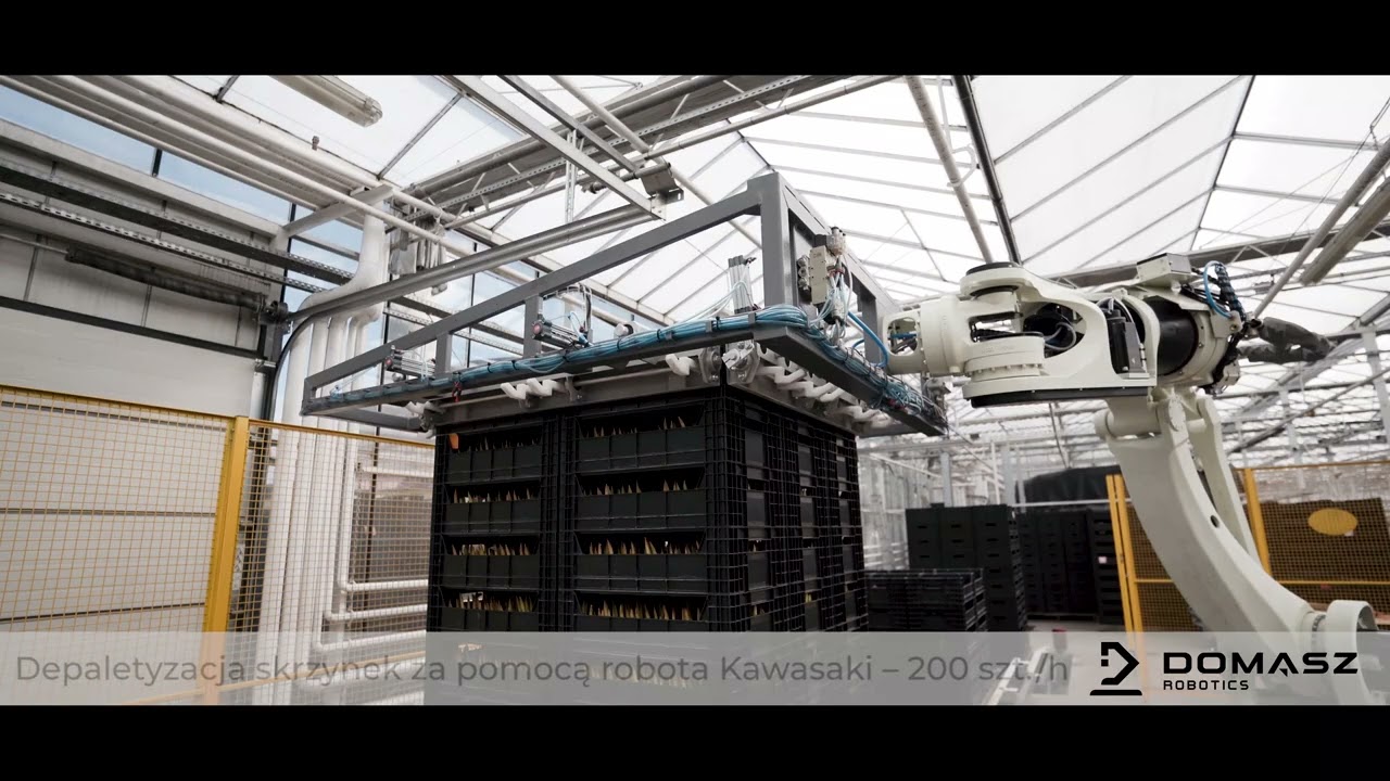 Domasz Robotics - paletyzacja i depaletyzacja skrzynek technologicznych -  Polskie Tulipany