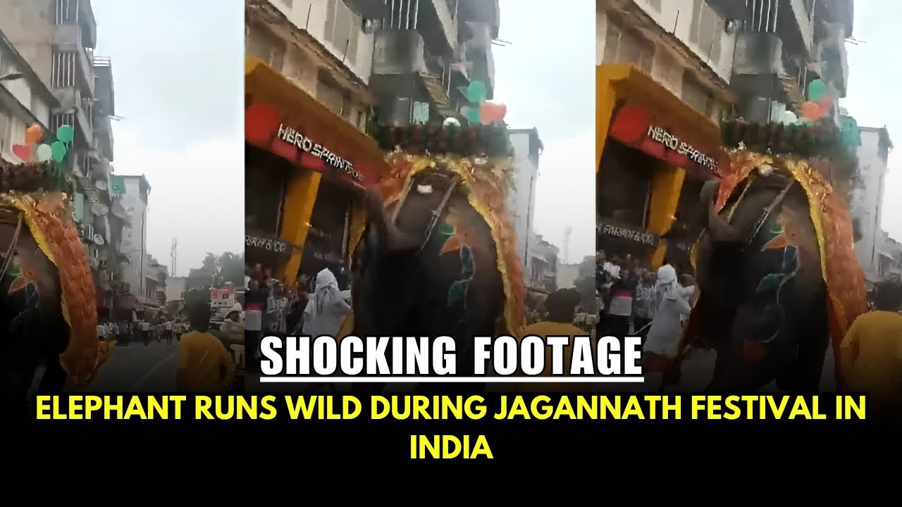 Ahmedabad Rath Yatra Chaos: Elephant Runs Wild During Jagannath Festival | Shocking Footage!