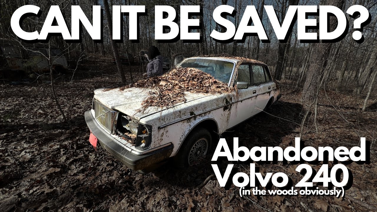 Will It Buff? Will It Run? 1985 Volvo 240 in the Woods!