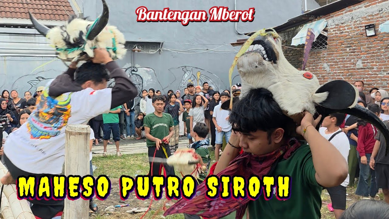 Kalap Semburat Keluar Kalangan-Bantengan MAHESO PUTRO SIROTH Live Gang Indomaret Lokcari Pandanwangi