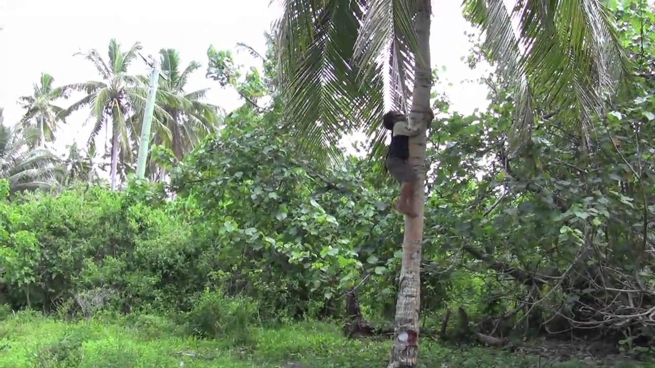 Sharing My Peace Corps Story: 2 plus years in less than 10 minutes