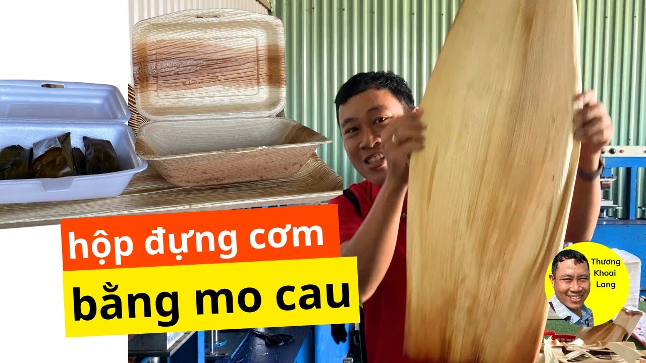 Hộp đựng cơm làm bằng mo cau thân thiện môi trường