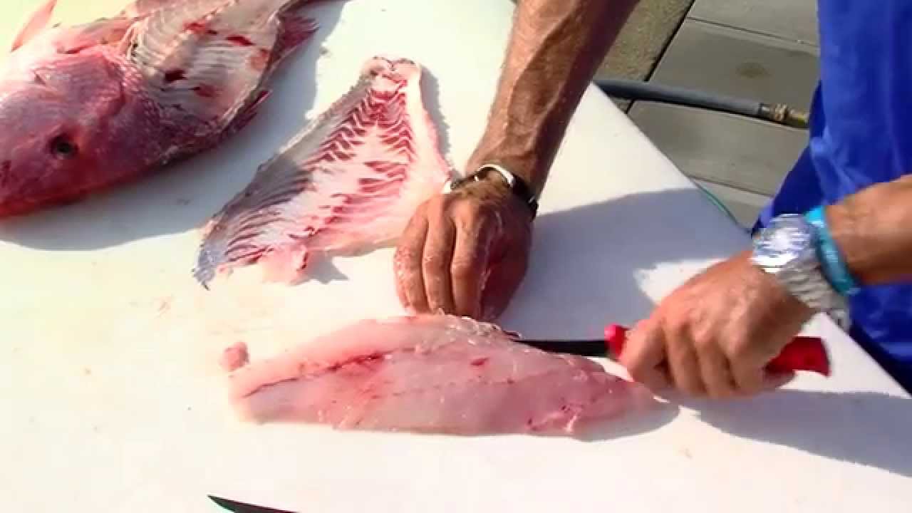 Hook to Table-Baked Red Snapper Recipe and Cleaning