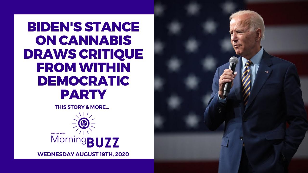 BIDEN'S STANCE ON CANNABIS DRAWS CRITIQUE FROM WITHIN DEMOCRATIC PARTY | TRICHOMES Morning Buzz
