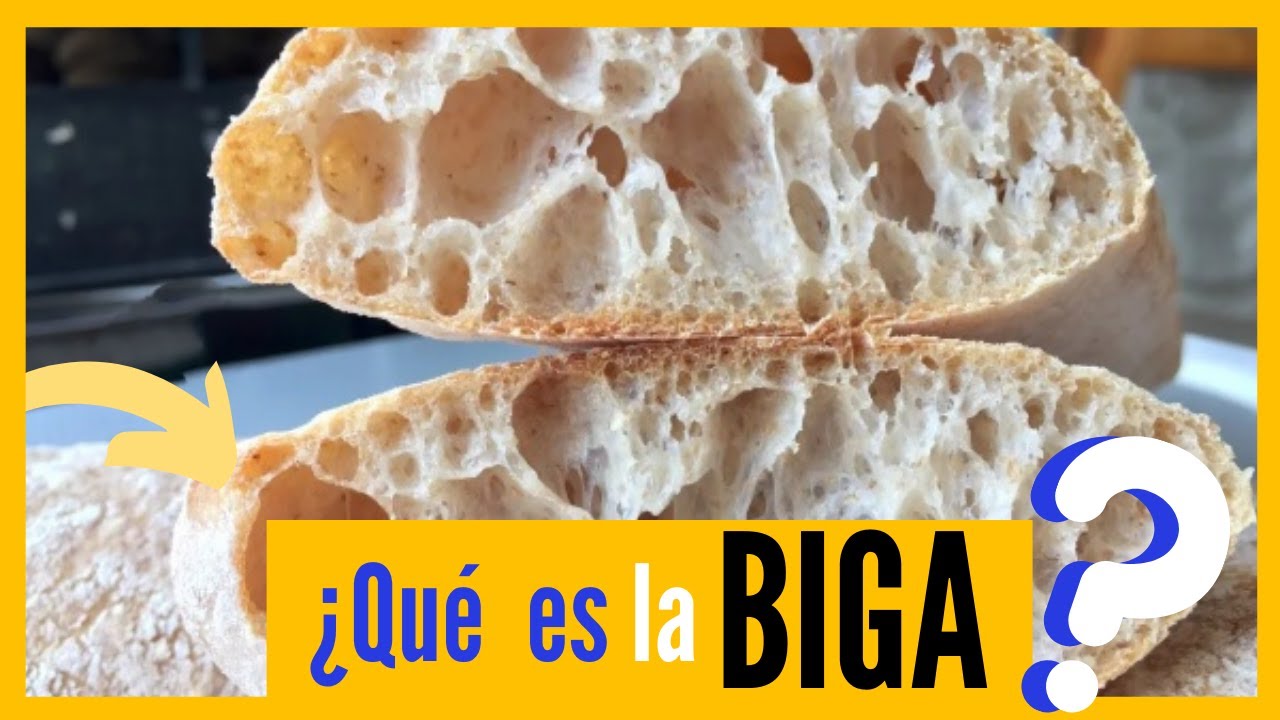 Que es la BIGA? ¿Y Como se utiliza? Para un pan SUPER ALVEOLADO