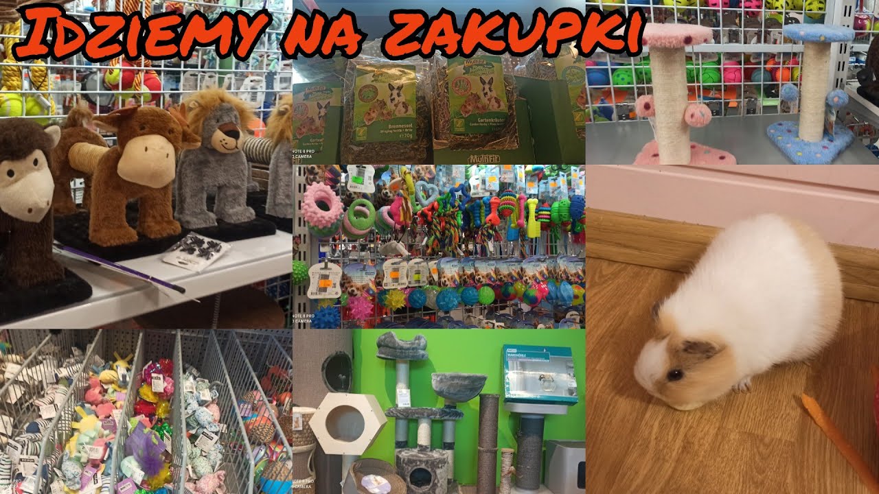 Vlog z Maxi  zoo🐾 super rzeczy🐹😀❤️