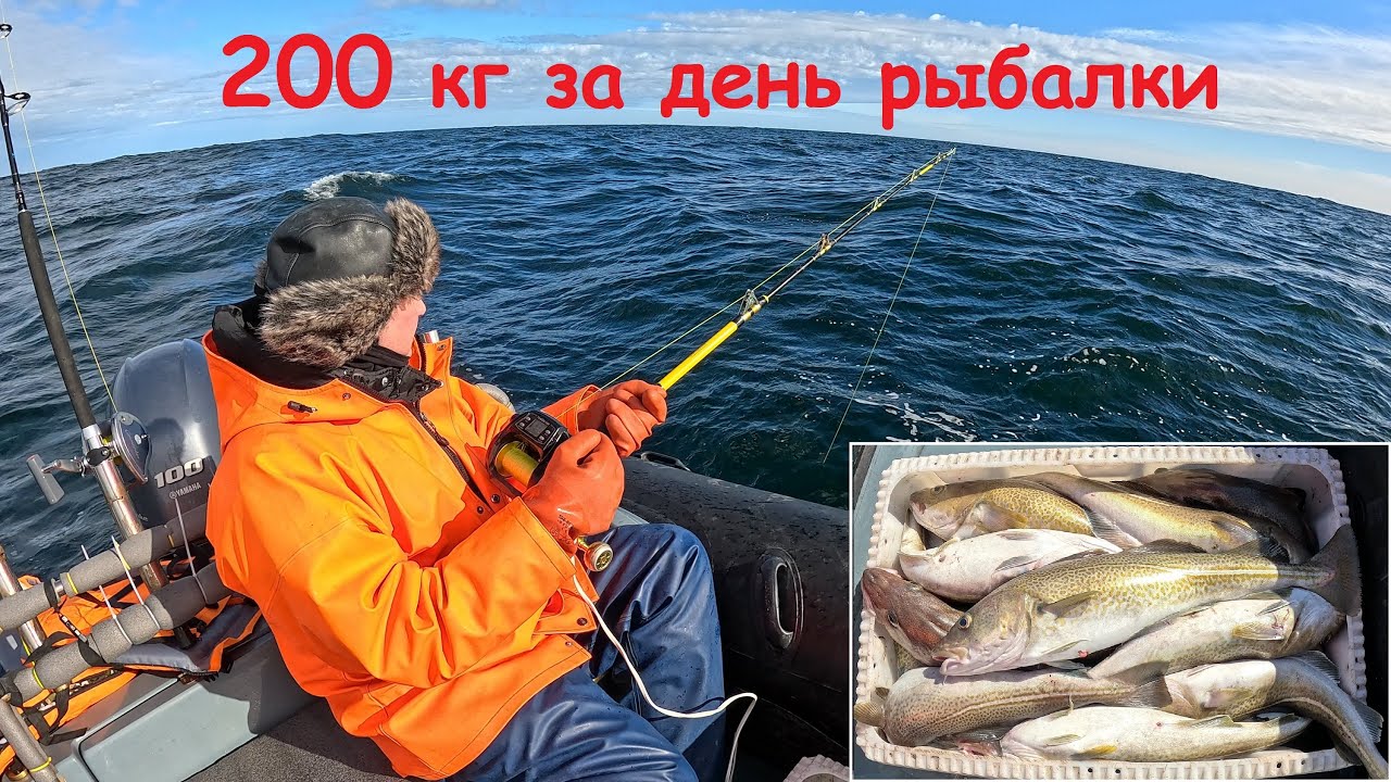 Отличная рыбалка в Баренцевом море