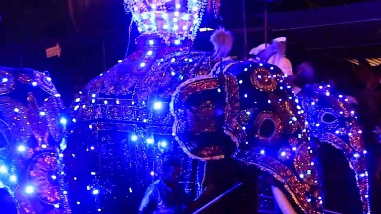The Kandy Esala Perahera is truly a spectacle that lights up the heart of Sri Lanka 🐘🔥🥁