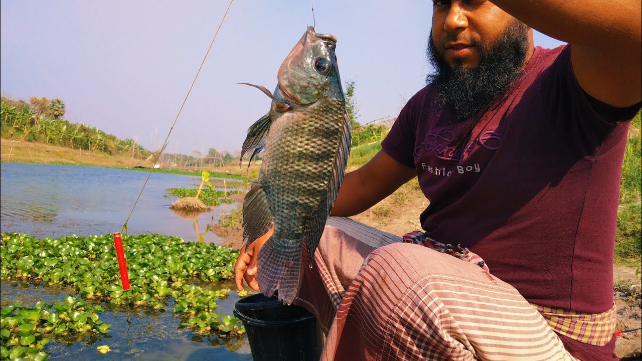 Hook Fishing | Traditional Hook Fishing | Fishing By Daily Fishing Pro | Amazing Fishing River &hearts;&hearts;