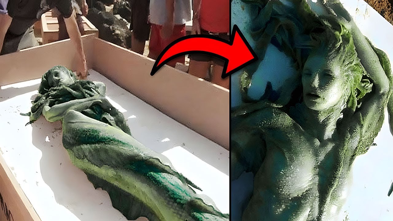 Этот парень нашёл настоящую русалку... А потом случилось вот что... 😨 (Часть 3)