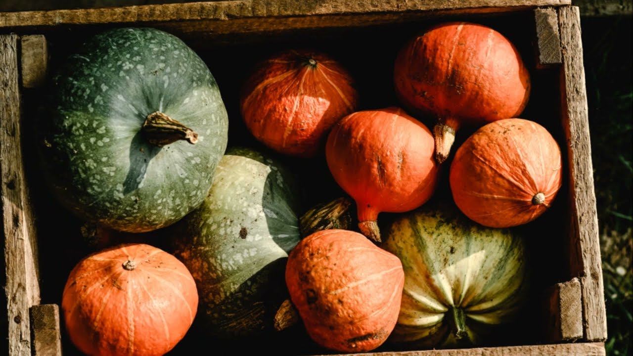 relaxing fall moments, beautiful places with fall colors.  Relax, enjoy and rest.