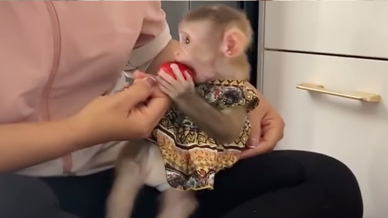 Smallest BB Jelly Sharply Temper Burst Out Loud Sound Stare To Mom