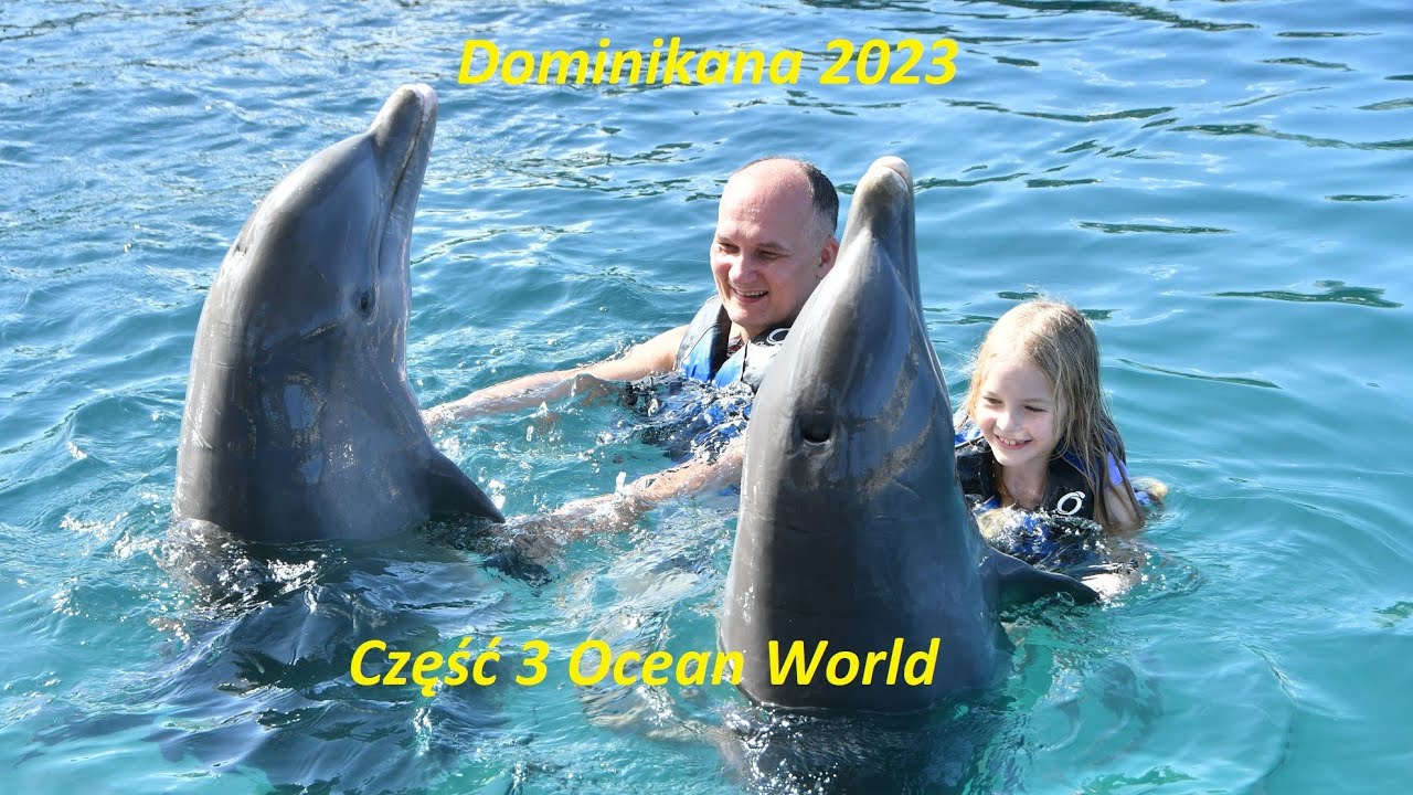 Dominikana cz. 3 Ocean World i Pływanie z Delfinami