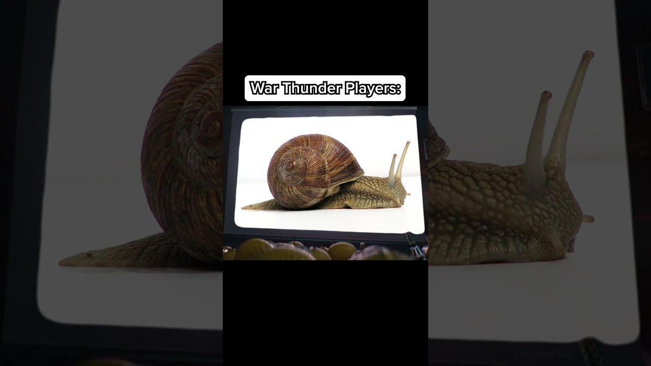 Life of a True War Thunder Player