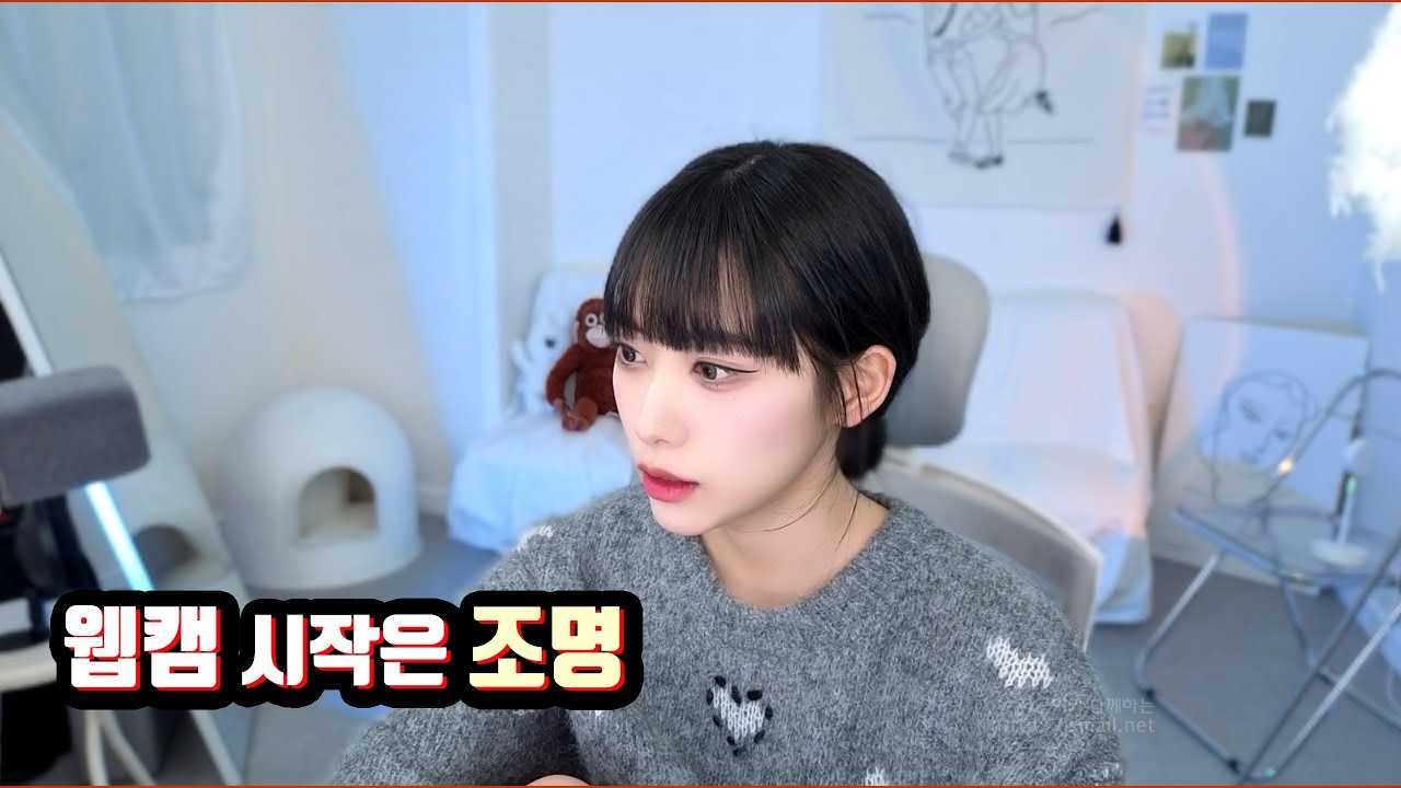 캠을 시작하실 예정이라 조명에 최대한 투자를 해보시라고 했습니다.