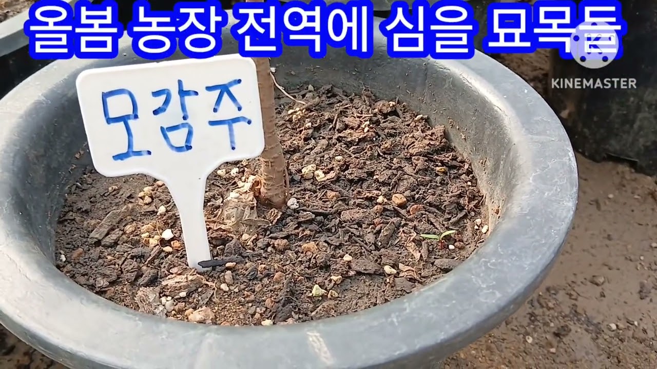온실관리체험1