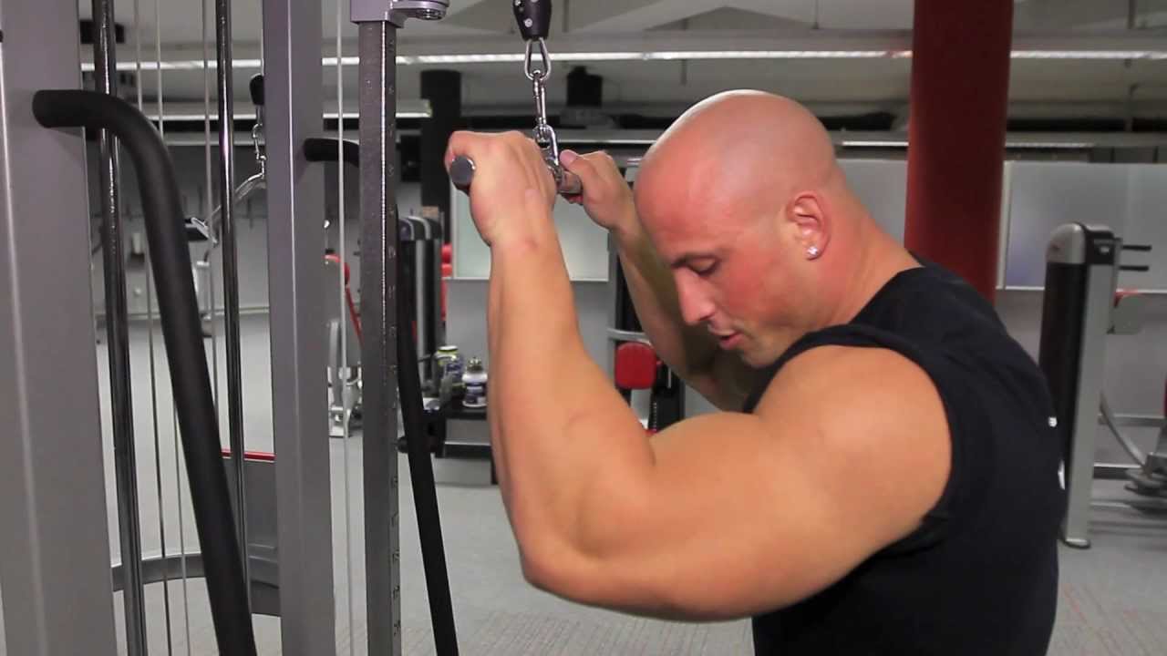 Fitnes Trening: Triceps