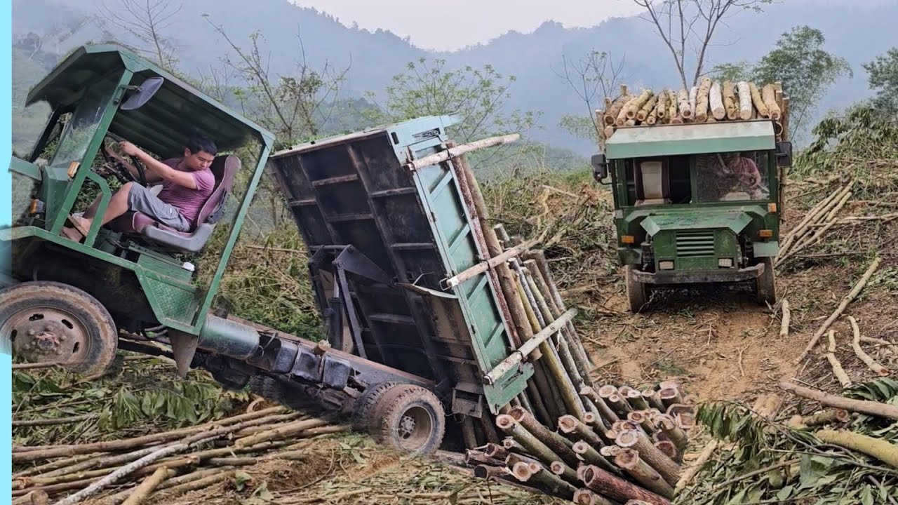 Trucks carrying wood and wood downhill are too dangerous