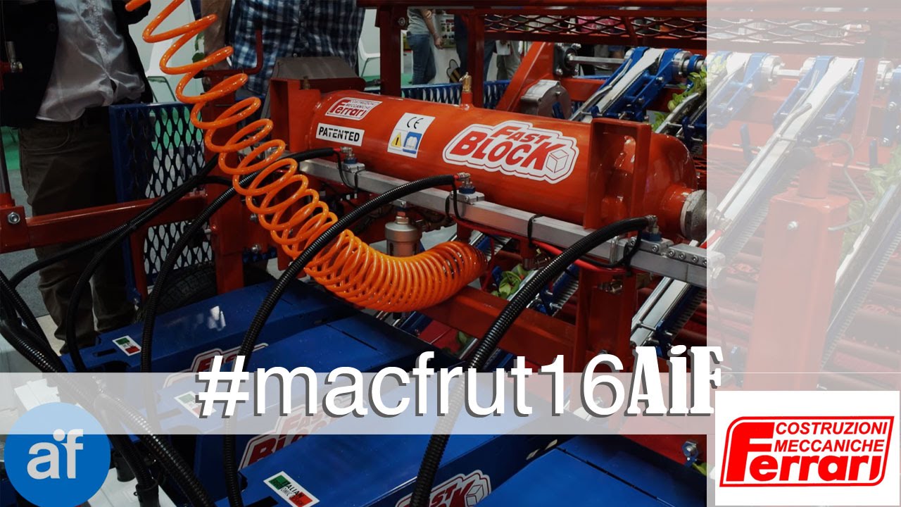 Trapiantatrice automatica per ortaggi in zolla cubica - FERRARI COSTRUZIONI MECCANICHE