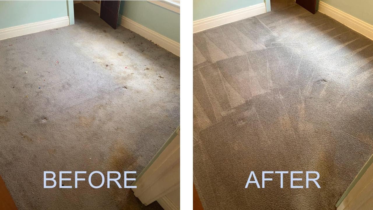 How a Professional Removes Pet Stains From Carpet