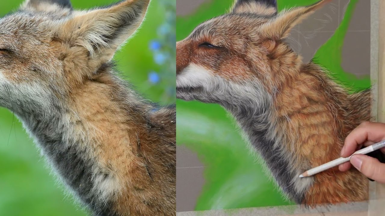 How to draw a fox in soft pastels tutorial timelapse (part three)