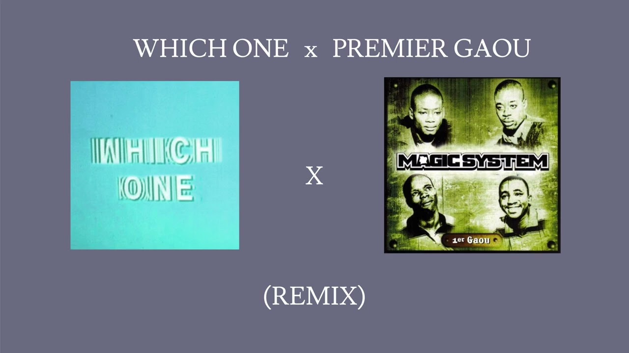 WHICH ONE x PREMIER GAOU [REMIX] 
