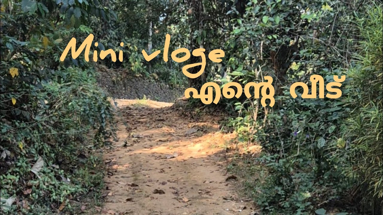 എന്റെ വീട് #home #minivlog #nostalgia #memmories 