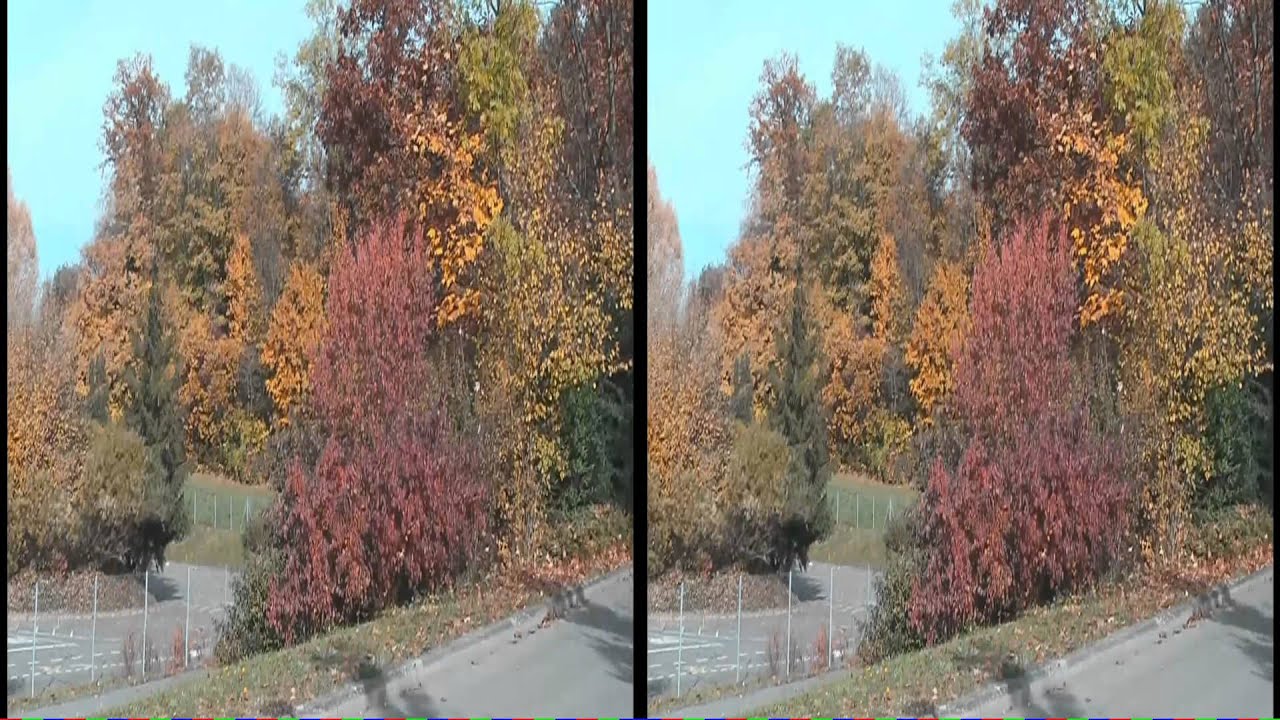 Vidy automne 2010