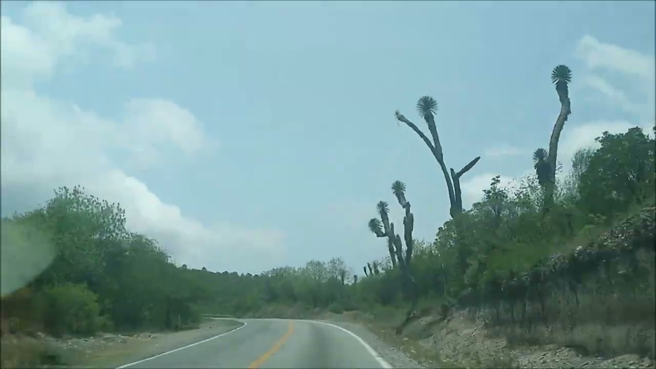 carretera 58 de entronque san Roberto a linares N.L.