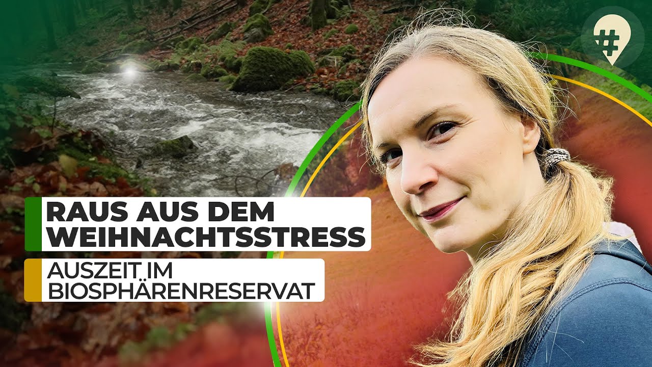 Genussvolle Auszeit im Thüringer Wald I #hinREISEND