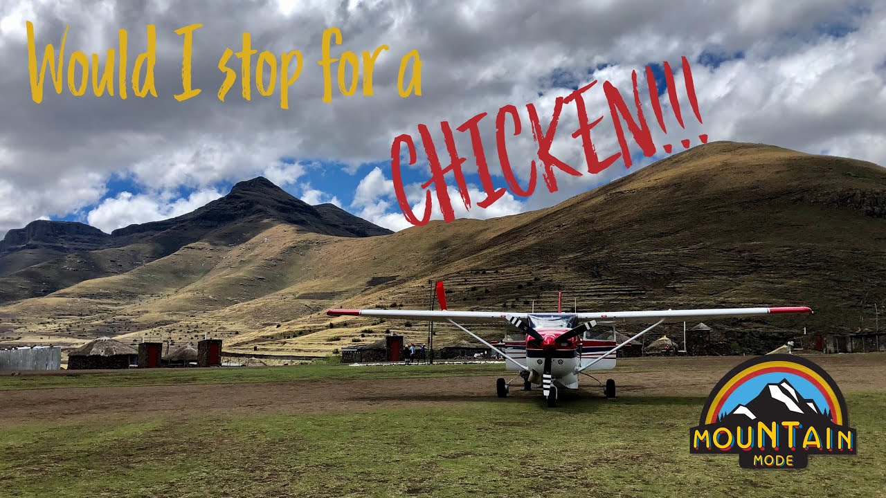 Would I stop for a CHICKEN!!?