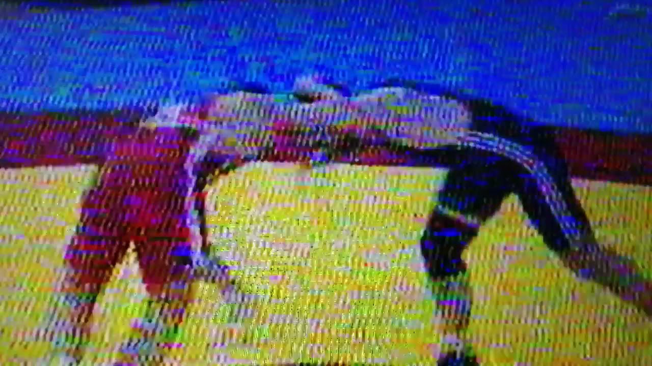 Serhat Balcı/Supleks 2005 Avrupa Serbest G&uuml;reş Şampiyonası