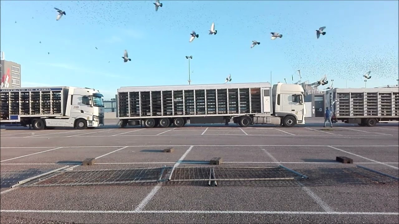 Valência Nacional 7 Maio 2022