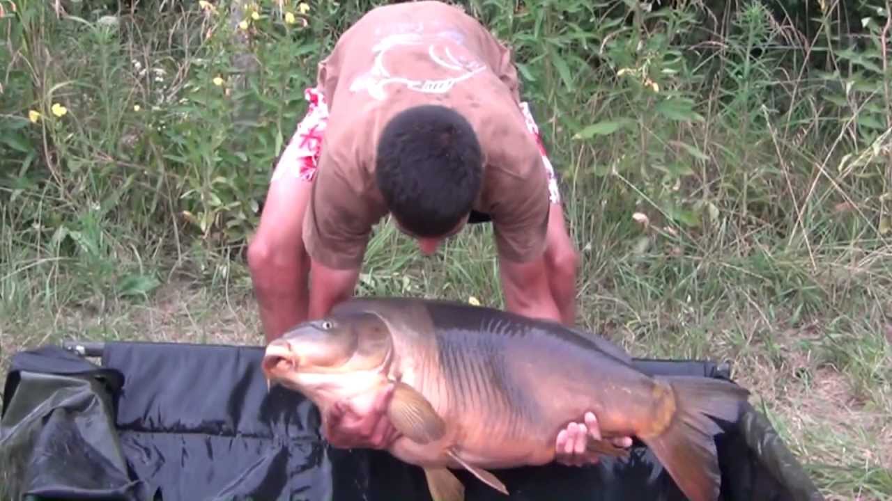 Iktus Carp 2 - La sesion perfecta - Parte 2º