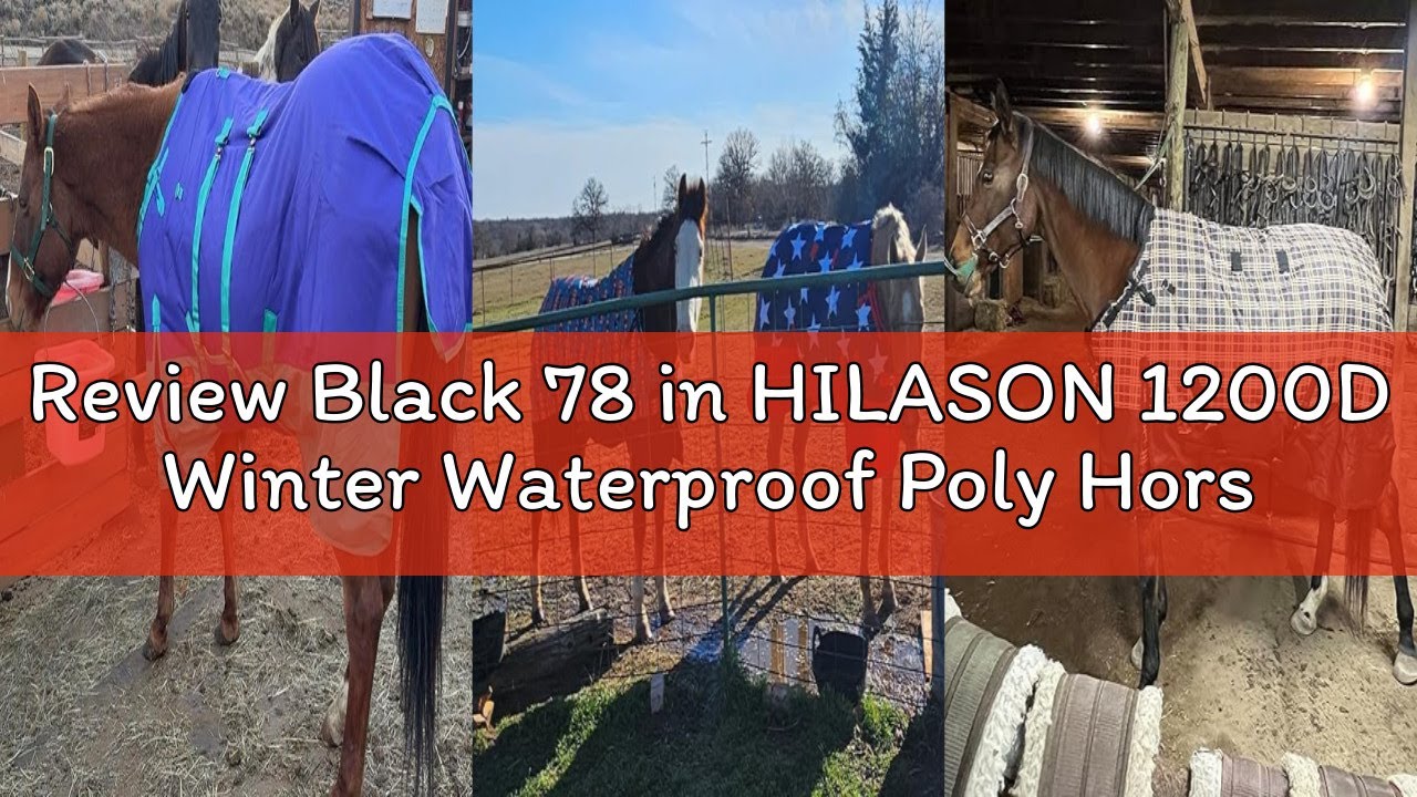 Review Black 78 in HILASON 1200D Winter Waterproof Poly Horse Turnout Blanket Belly Wrap