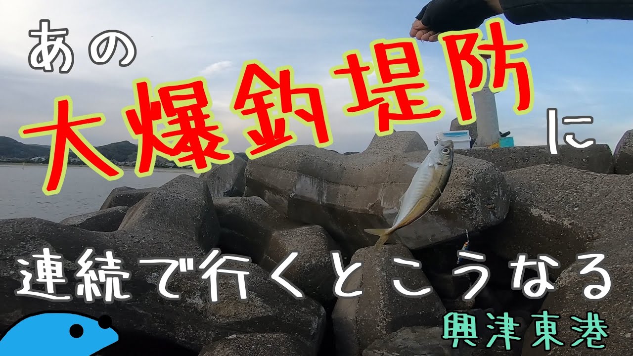 【興津東港】大爆釣の再現性を確かめに行ったヤツの末路