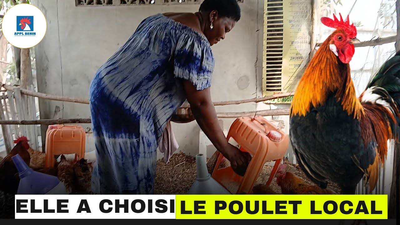 Après 2 ans D'ÉCHEC, elle a FINALEMENT trouvé LA SOLUTION (élevage du poulet local) APPL-BENIN EP01