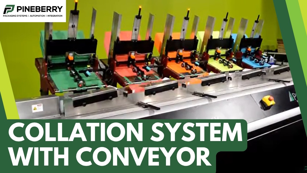 Collating System - Pineberry SF Friction Feeders and Conveyor Line