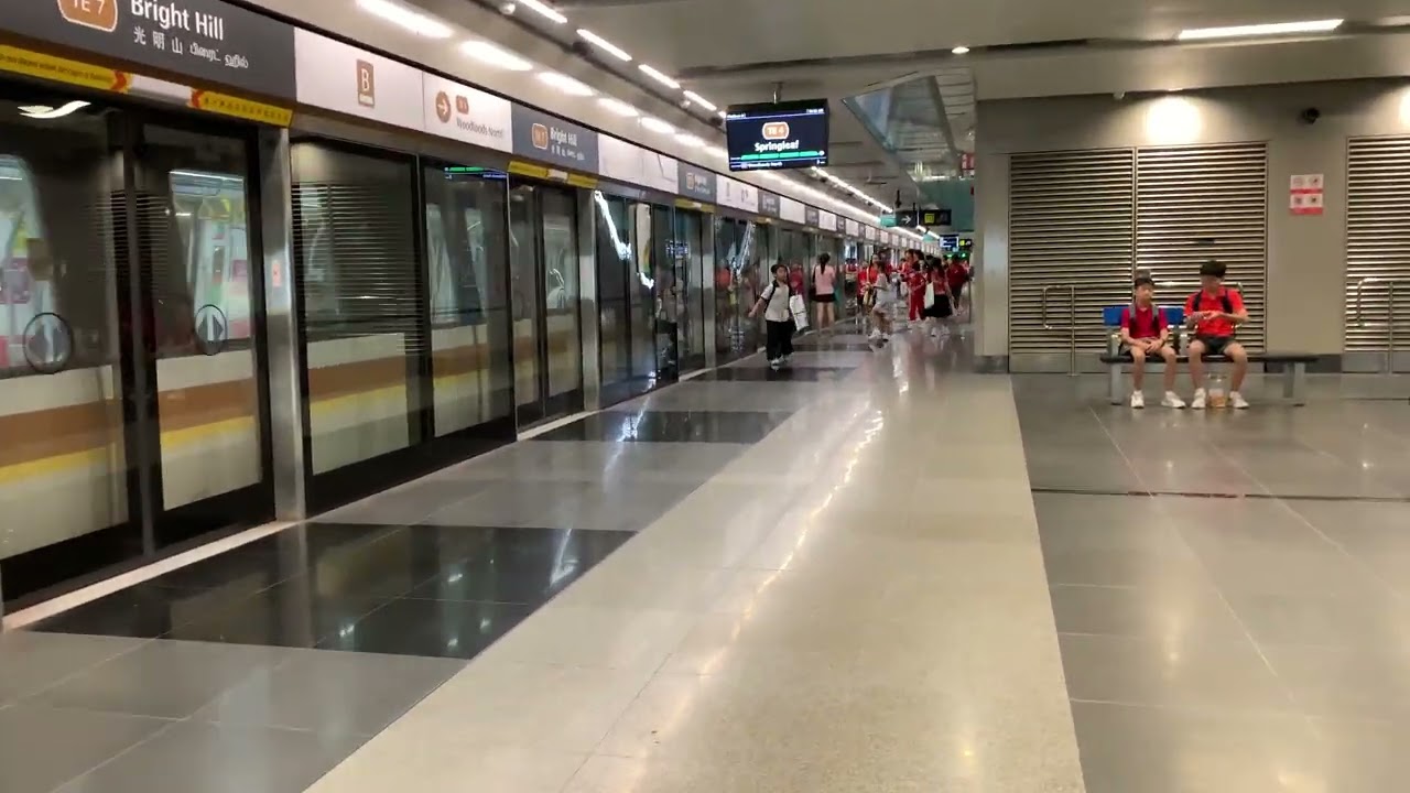 Another Springleaf-bound train