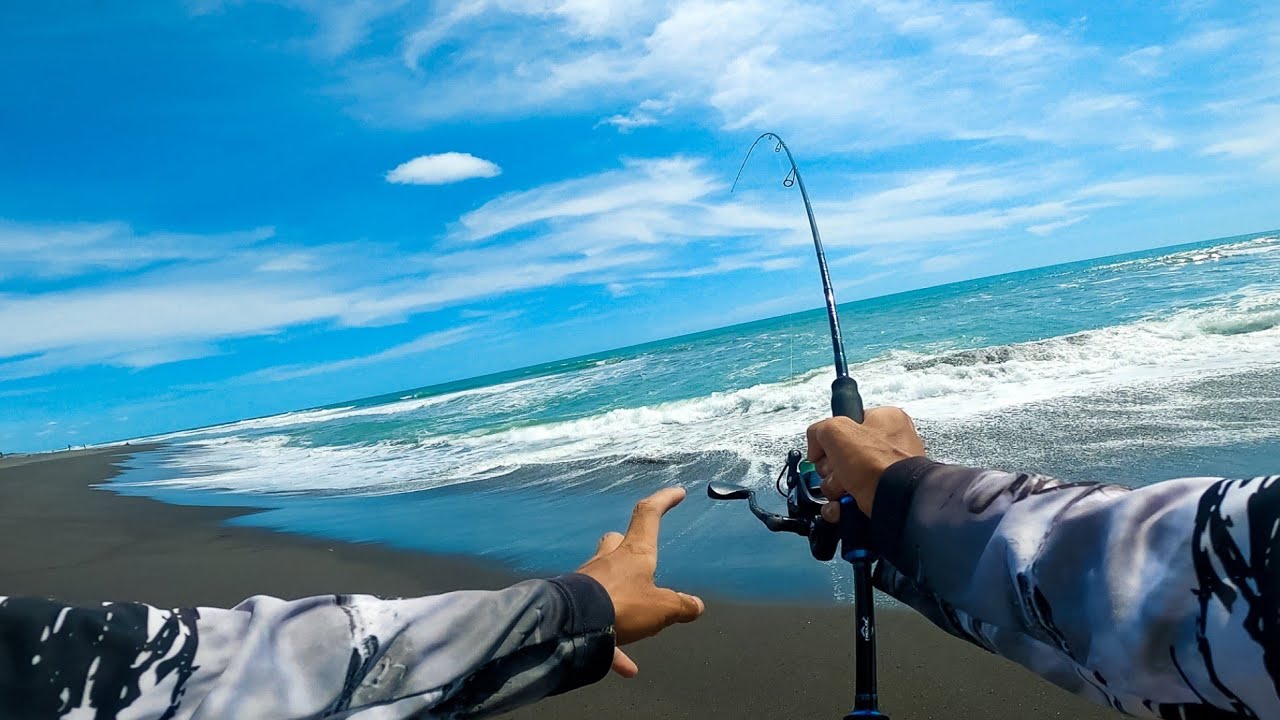 🔴 Ganasnya sambaran ikan,Mancing casting di pantai saat air mulai pasang