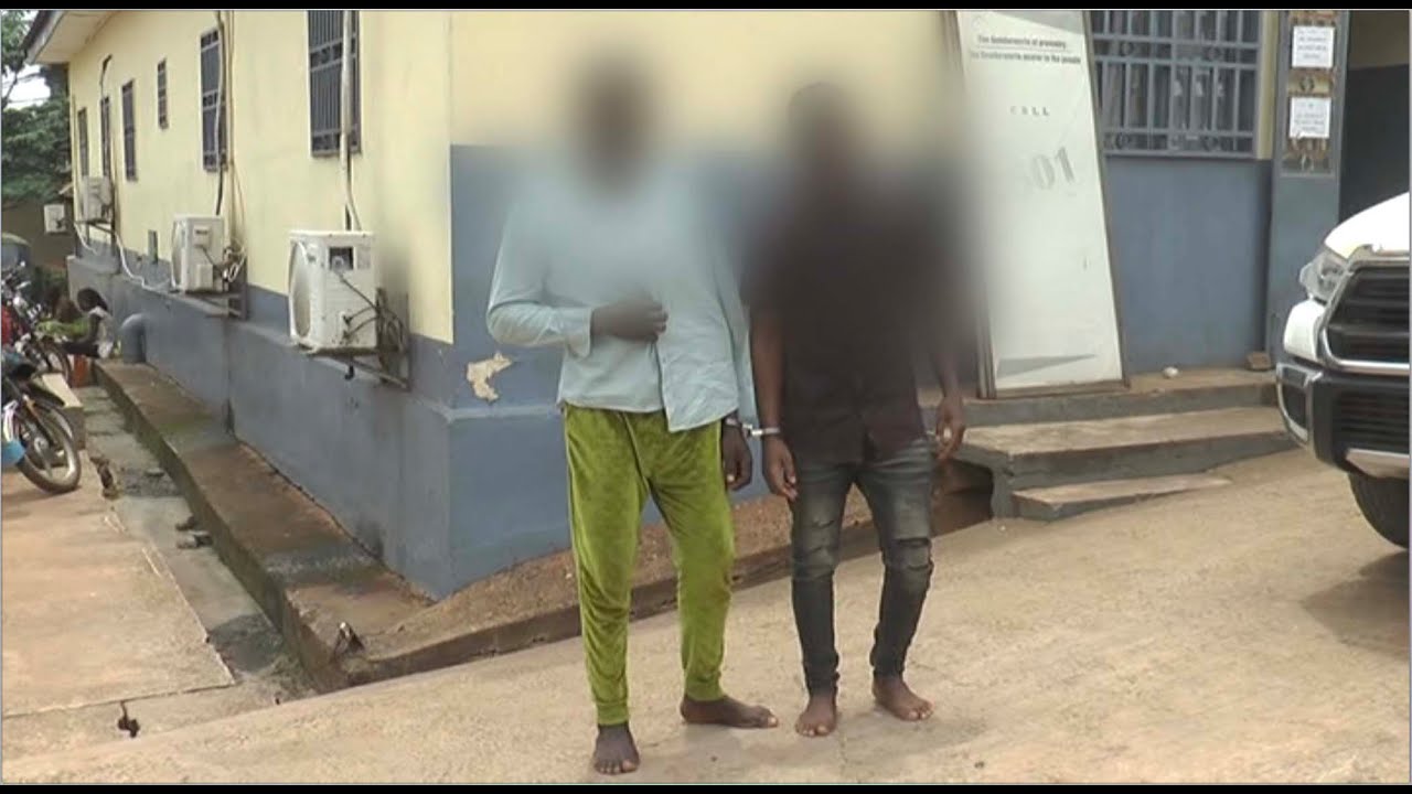 YAOUNDÉ: UN RÉSEAU DE TRAFIQUANTS D'ÉTRANGERS DÉMENTELÉ - EQUINOXE TV